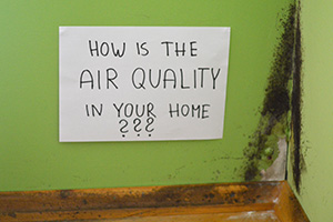 House mold - bad air quality